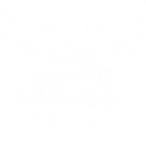 Bocas Brigade logo